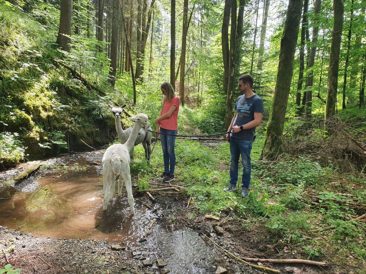 Lana Salta Alpakas - Gemuetliche Ferienwohnungen Auf Dem Bauernhof Murrhardt Extérieur photo