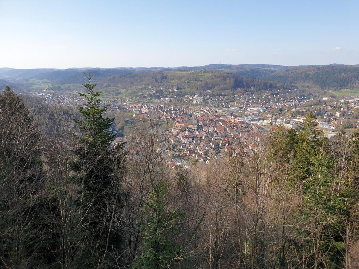 Lana Salta Alpakas - Gemuetliche Ferienwohnungen Auf Dem Bauernhof Murrhardt Extérieur photo