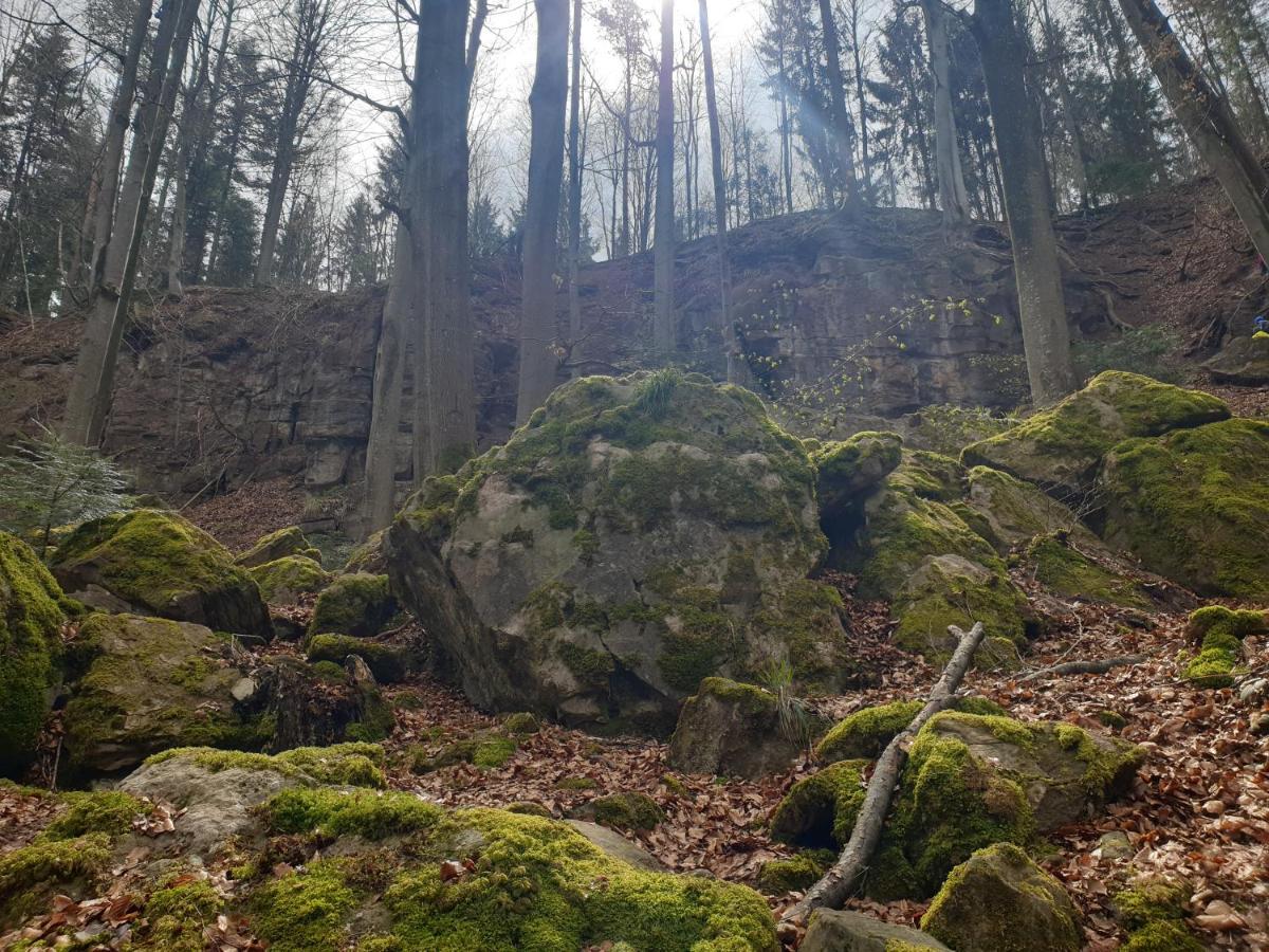 Lana Salta Alpakas - Gemuetliche Ferienwohnungen Auf Dem Bauernhof Murrhardt Extérieur photo