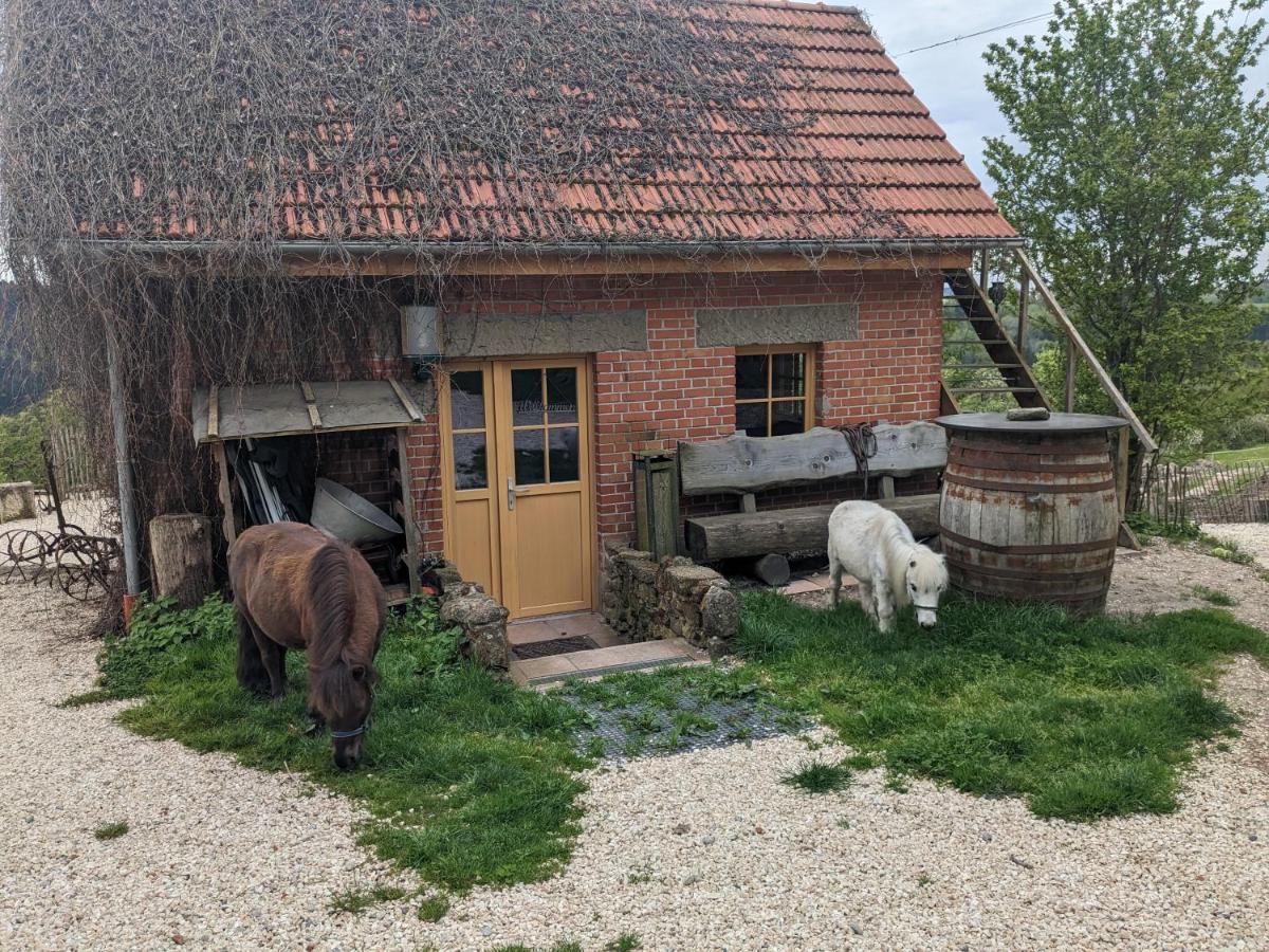 Lana Salta Alpakas - Gemuetliche Ferienwohnungen Auf Dem Bauernhof Murrhardt Extérieur photo
