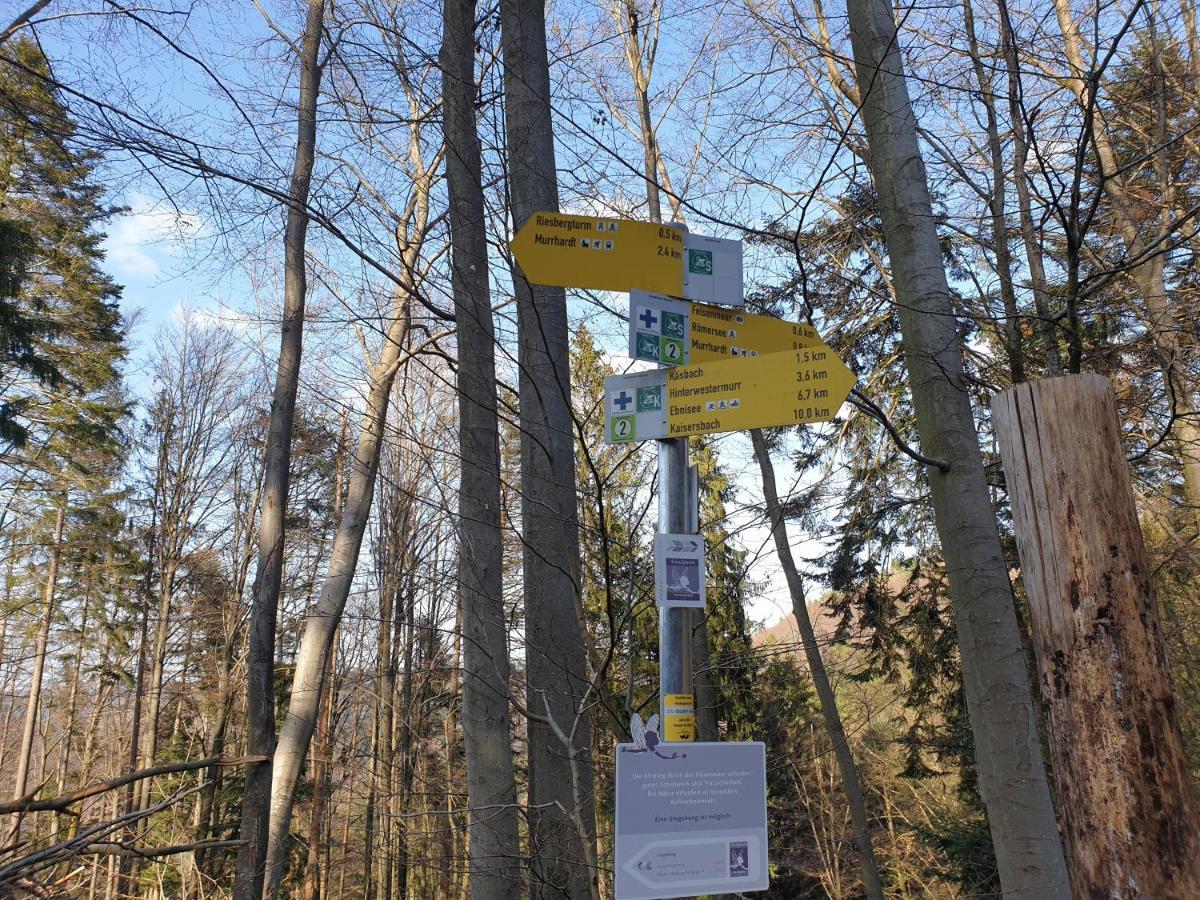 Lana Salta Alpakas - Gemuetliche Ferienwohnungen Auf Dem Bauernhof Murrhardt Extérieur photo
